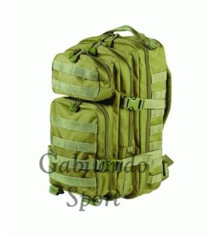 Mochila táctica árida 30 litros