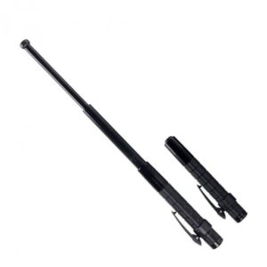 Defensa extensible ASP Protector P12