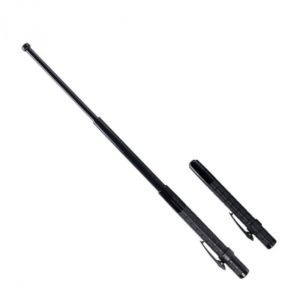 Defensa extensible ASP Protector P12