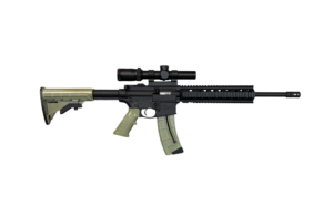 Carabina Smith&Wesoon MP15 Cal.22 LR con visor Ocasión
